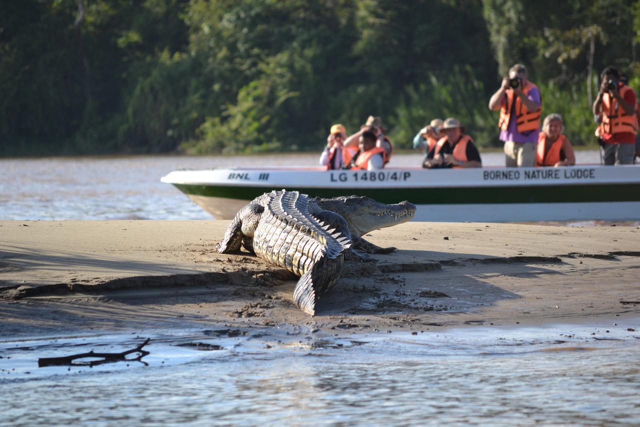 Borneo Nature Lodge Sukau ภายนอก รูปภาพ