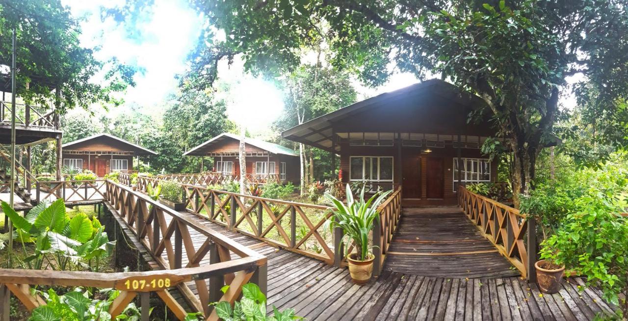 Borneo Nature Lodge Sukau ภายนอก รูปภาพ