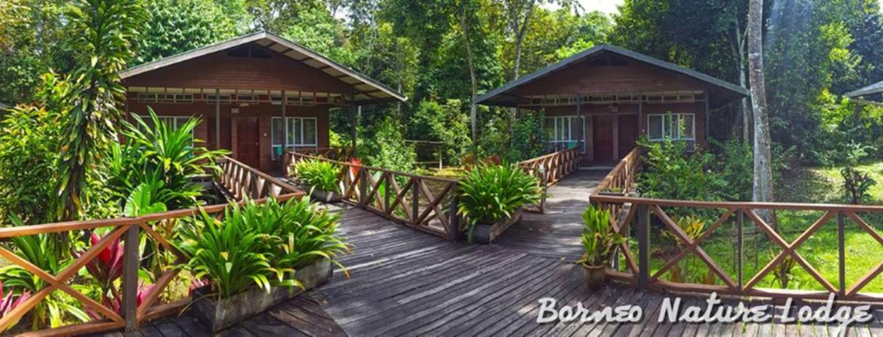 Borneo Nature Lodge Sukau ภายนอก รูปภาพ